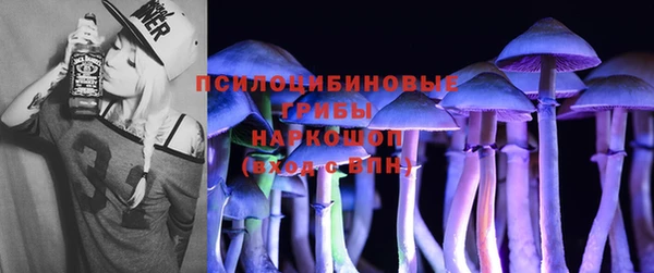 PSILOCYBIN Снежногорск